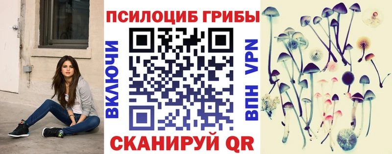 где купить наркоту Лукоянов кракен зеркало Псилоцибиновые грибы Psilocybe